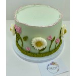 Cake C44
